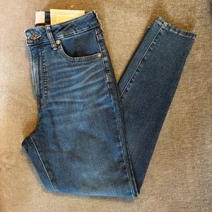 NWT Everlane Curvy Authentic Stretch High Rise Skinny Jean, Size 29